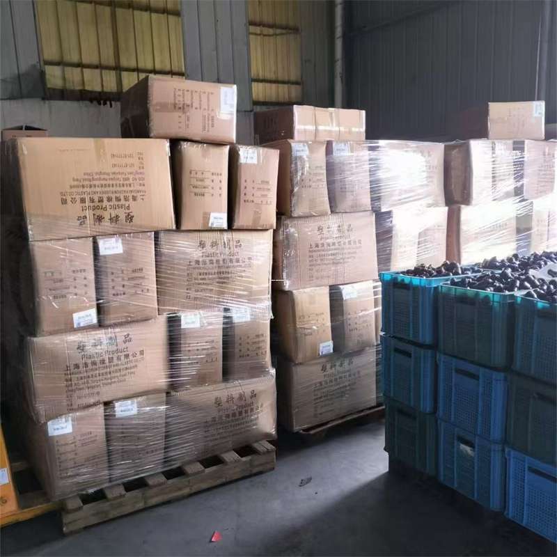 永安市澄江市物流：多元运输服务与线路探秘