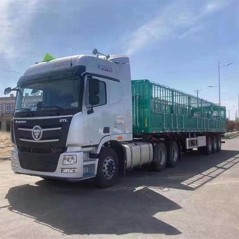 永安市探索瓮安县多元化物流运输服务